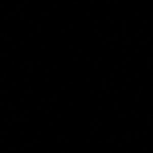 Meet your Posher, Holden